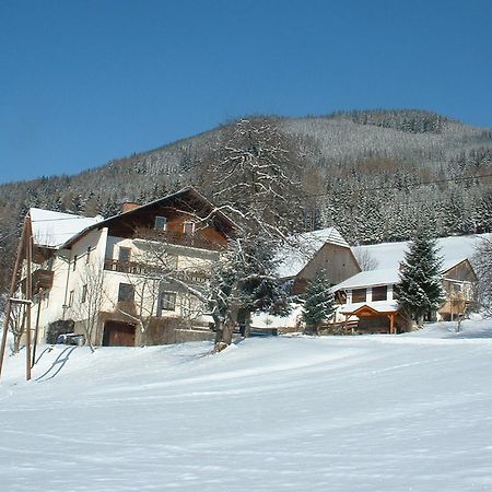 Vila Bauernhof Marx Gaal Exteriér fotografie